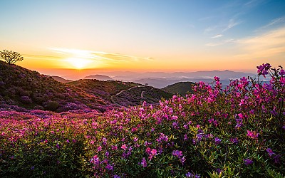 황매산 !