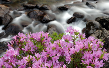 회원님들 감사합니다.