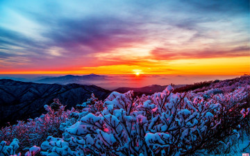 덕유의 겨울 일출경