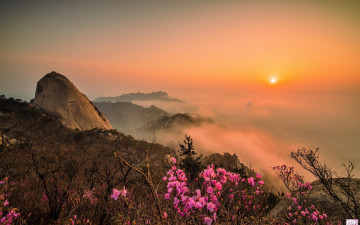북한산 진달래와 일출