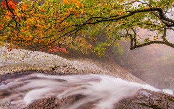 우중 설악산 설악 폭포