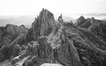 신의 예술 작 사자봉 - 월출산