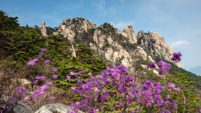 도봉산의 봄!