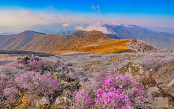 산에는 못가고,,,