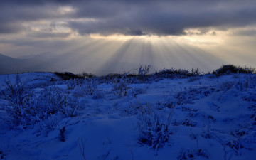 시원찮은 빛내림