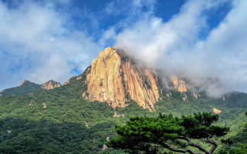 도 봉 산  에서..