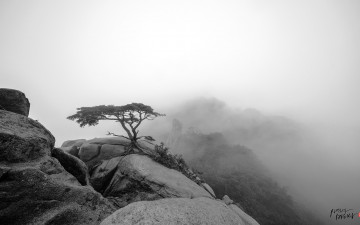 도봉산  풍경.. ..