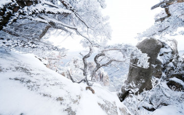 도 봉 산  에서..