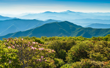 덕유산 ! - 덕유산