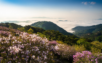 황매산 !