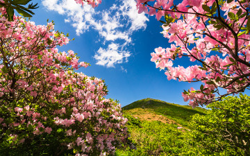 덕유산 ! - 덕유산