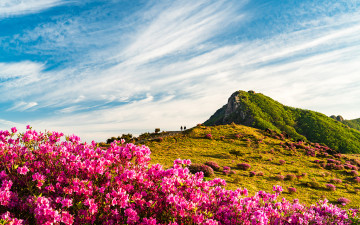 황매산 ! - 황매산