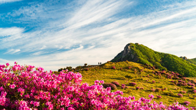황매산 !
