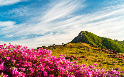 황매산 !