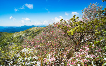 덕유산 ! - 덕유산