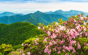 덕유산 ! - 덕유산