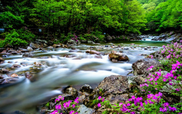 우중속의 뱀사골