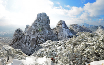 눈을기다리는 마음으로~~