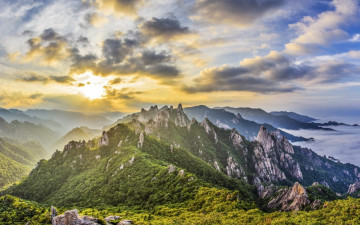 모델이 어느 분인지?