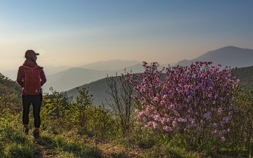 만복대 가는 길