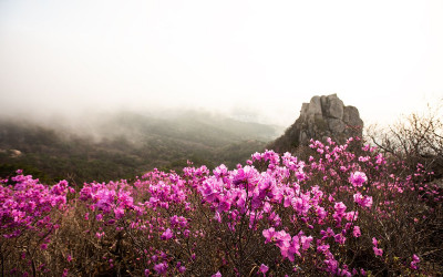 금정산의 열기는 식지 않는다. - 금정산