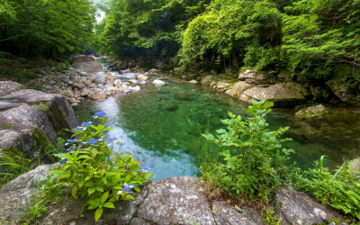 뱀사골 - 지리산