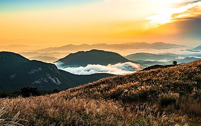 황매산 !