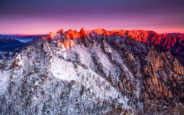 공룡을 깨우는 아침빛
