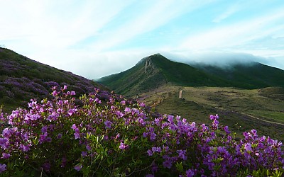 황매산!