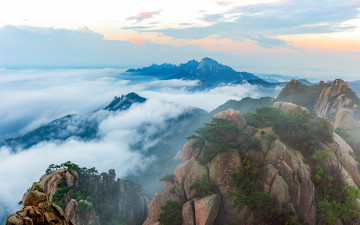 비선대를 까마귀가 점령했던 날.