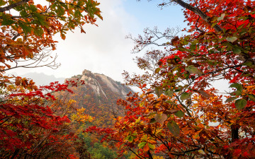 단풍나들이길에