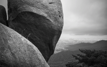 인간세계를 굽어보는 어느 현자의 뒷모습