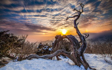 천년의 세월 넘어로