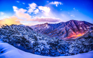 남녁은 꽃소식이...