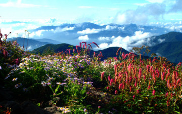 가을을 기다리며..