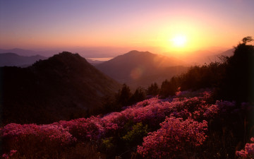 천주산(2005년작)