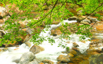 지리산의 미, 봄