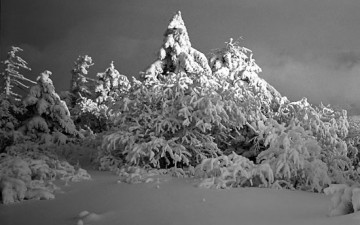 겨울을 기다리며...