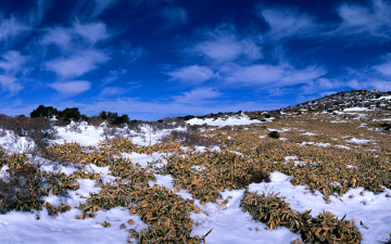 따스한 겨울 빛