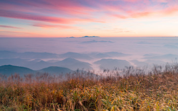 무등에서 왕을 바라보다.