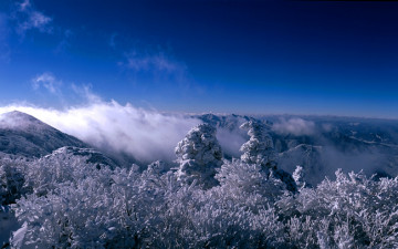 덕유산의 추억.