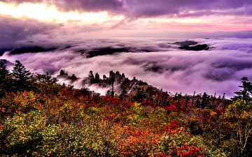 용아를품은운해경