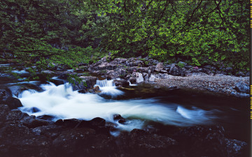지리의 봄 - 디테일컷 링크 추가