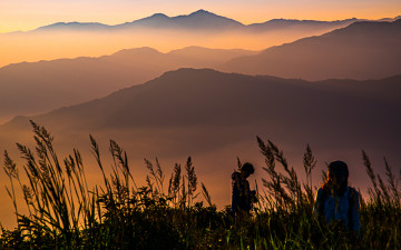 시방 뭣이 중헌디 ...