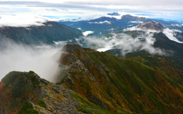  니시호타카다케 연봉
