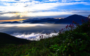 다시보자 만복이