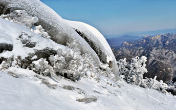 덕유산 철쭉빙화