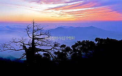 함백산 여명