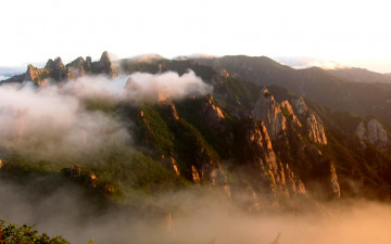 신선대 6월21일 입니다