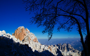 눈이 곱던 날에...